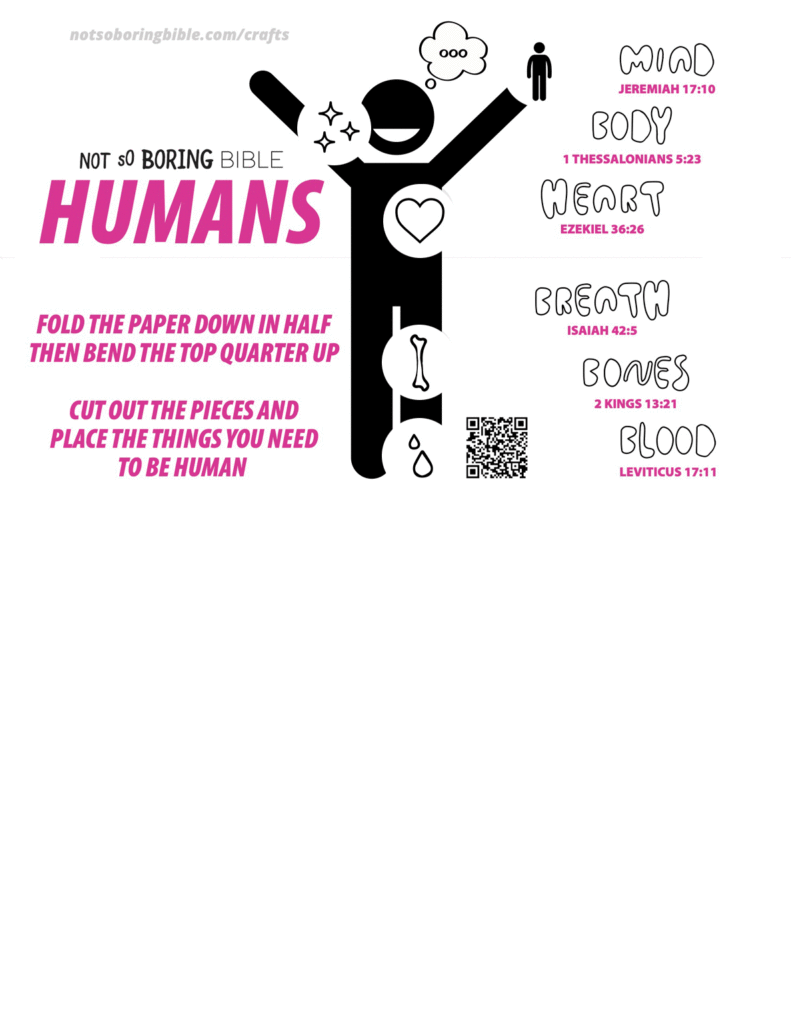 Humans